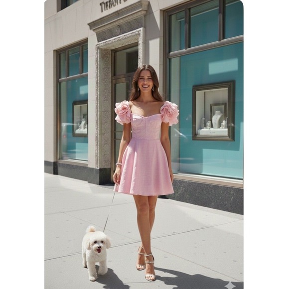 Bardot Dresses & Skirts - Bardot Sigma Mini Dress in SOFT PINK  Size 4 Retail NWT $179